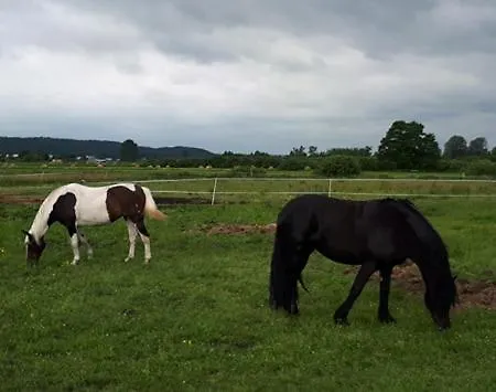 Prywatnie Nad Morzem * Mosty (Puck)