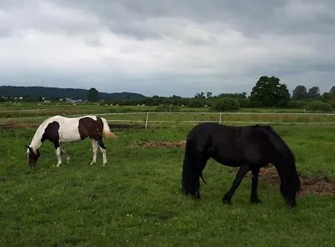 Prywatnie Nad Morzem * Mosty (Puck)